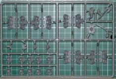 Sprue1Back.JPG, 235*161