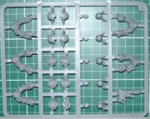 sprue1Back.JPG, 216*171