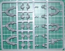 sprue1Back.JPG, 216*171